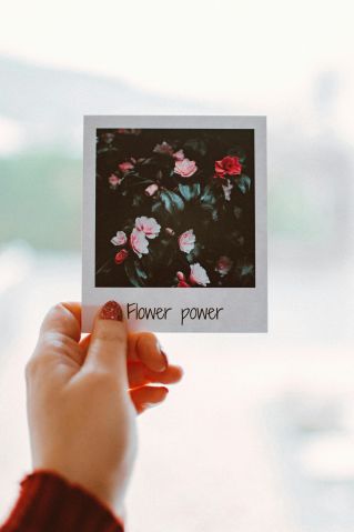 A hand holding a polaroid photo of vibrant roses with 'Flower Power' text.